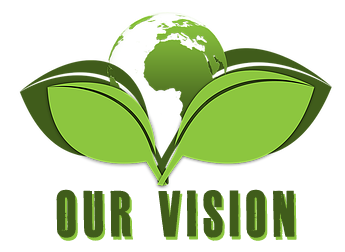 our vision